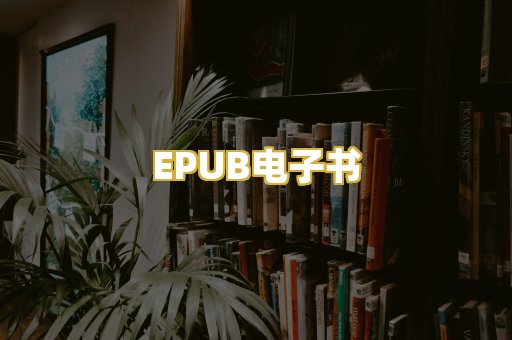 EPUB电子书